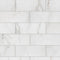 Calacatta Michelangelo 12" x 36" Honed